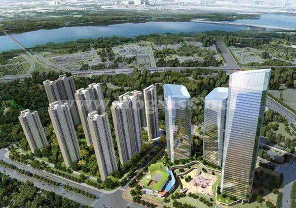 Wuhan Age, New World